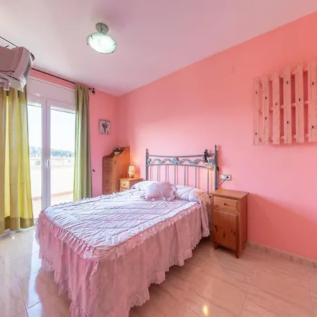 Pet-friendly In *
